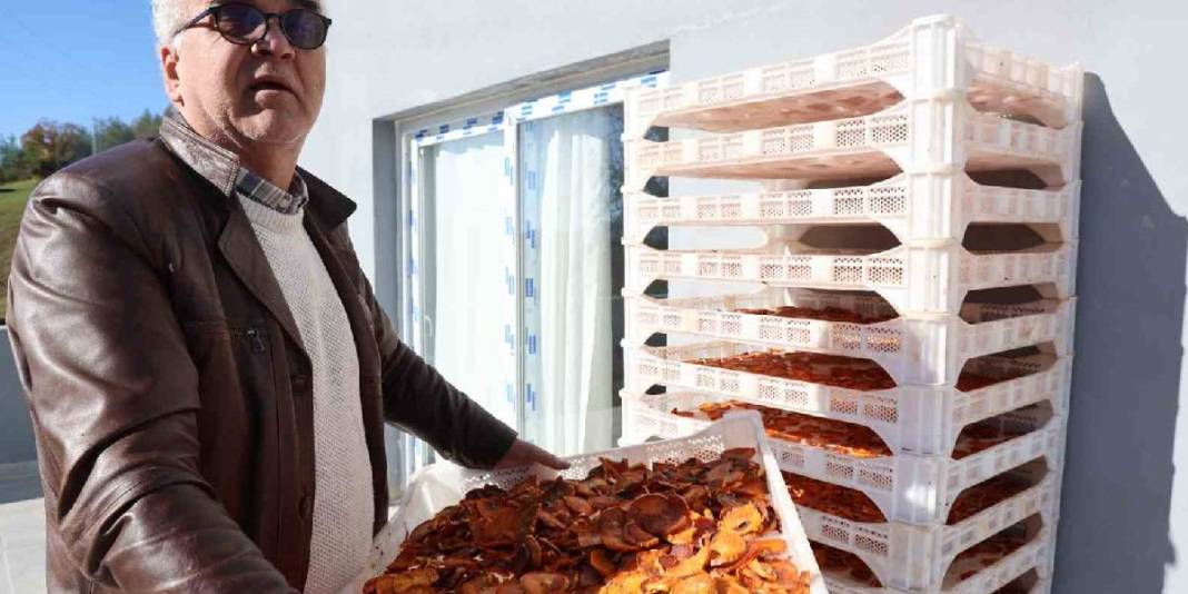 Yaşı 60 TL, kurusu 650 TL! Mahallede kurulan tesiste kurutuldu: İlk ihracat Almanya’ya yapıldı 2